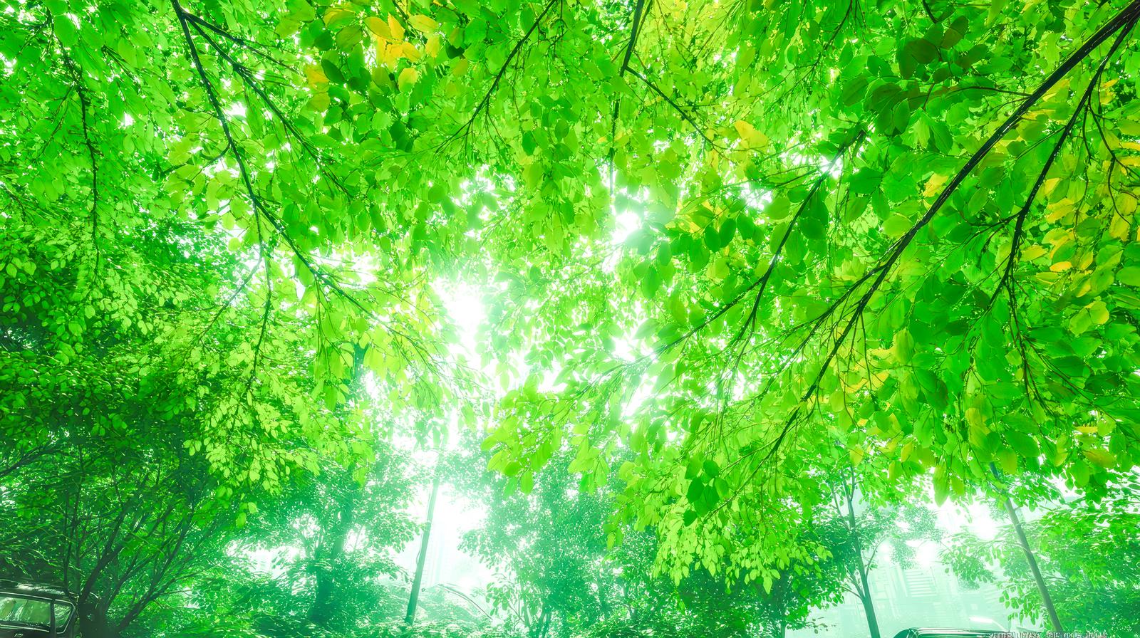 6つの立場がつながるイメージ